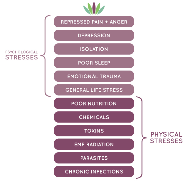 The Emotional Causes of Cancer, Stress
