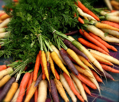 Carrot-Seeds-Rainbow-Blend-Vegetable-Seedsp