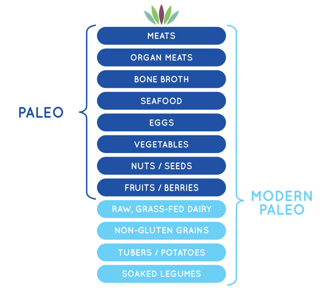 paleo_vs_modern_paleo_blue