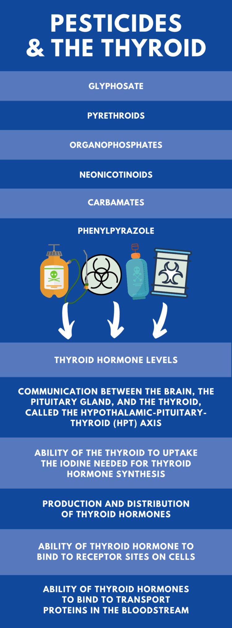 Thyroid Infographic V6