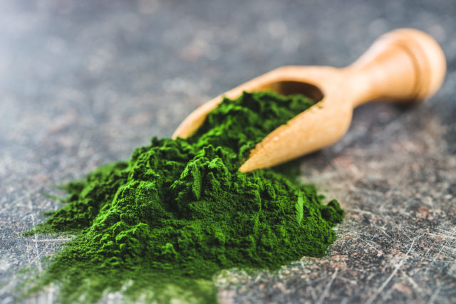 Green chlorella powder